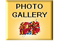 PHOTO
GALLERY